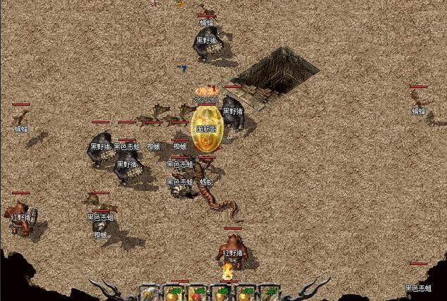 <b>作为老玩家新手优先选法师或道士冰雪环境里清怪效率高</b>